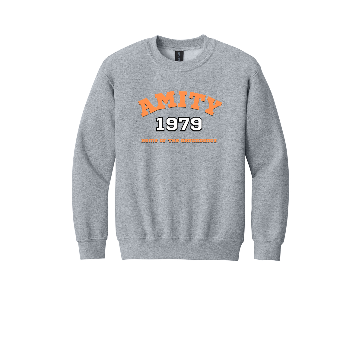 #2a- Youth Crewneck Sweatshirt