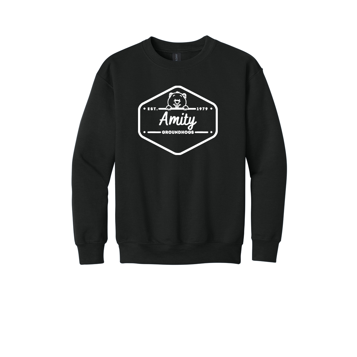 #1a- Youth Crewneck Sweatshirt