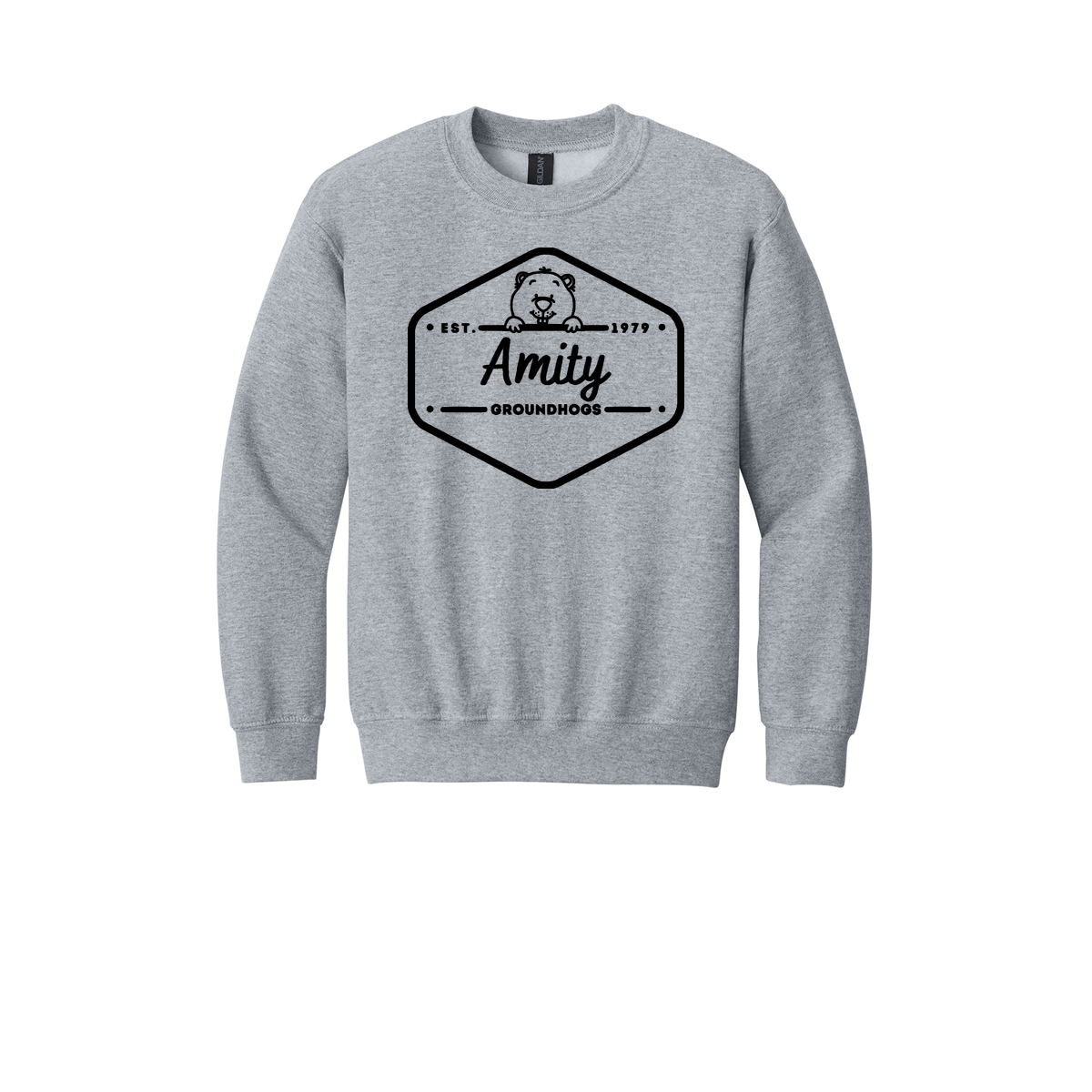 #1b Youth Crewneck Sweatshirt