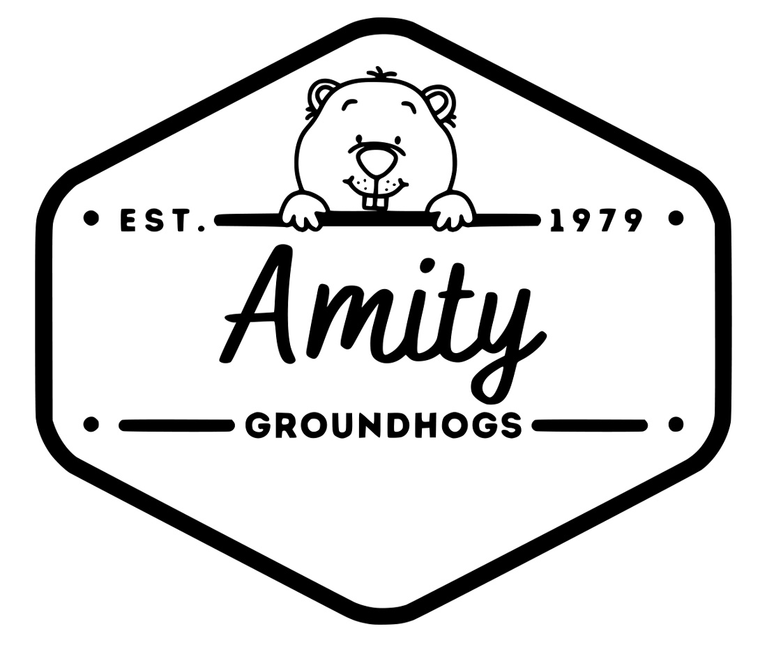 Amity Elementary
